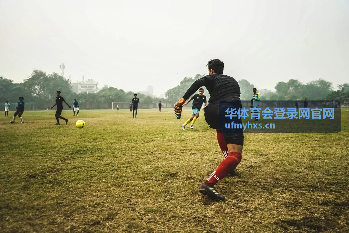 华体育会登录网官网会员等级与专属权益说明